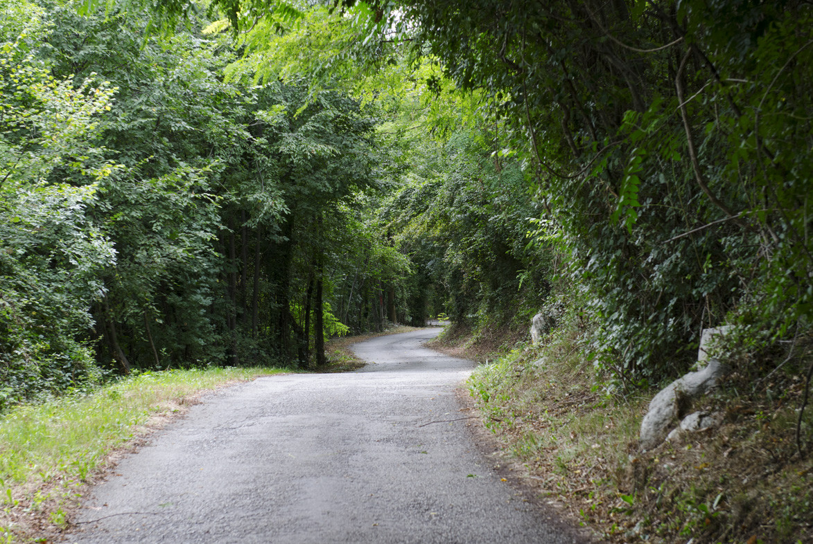 Strada carbonai